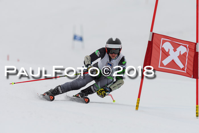 Int. FIS Rennen Damen, RS, Maria Alm 09.01.2018