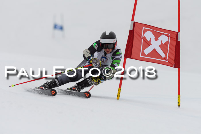 Int. FIS Rennen Damen, RS, Maria Alm 09.01.2018
