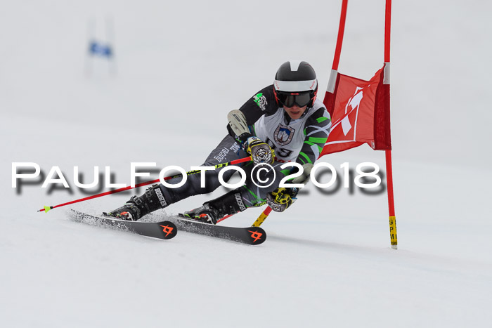 Int. FIS Rennen Damen, RS, Maria Alm 09.01.2018