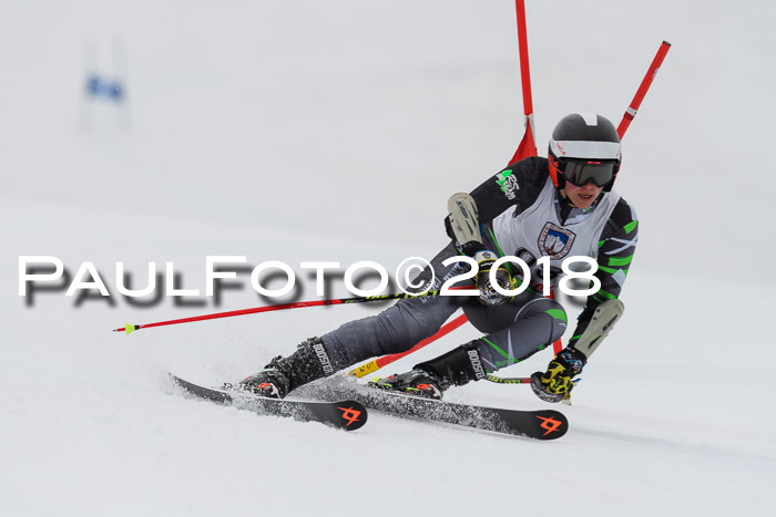 Int. FIS Rennen Damen, RS, Maria Alm 09.01.2018