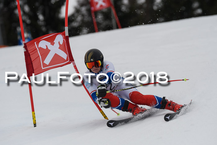 Int. FIS Rennen Damen, RS, Maria Alm 09.01.2018