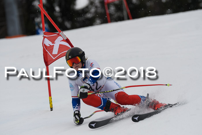 Int. FIS Rennen Damen, RS, Maria Alm 09.01.2018