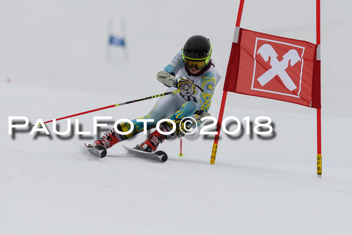Int. FIS Rennen Damen, RS, Maria Alm 09.01.2018