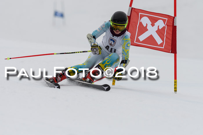 Int. FIS Rennen Damen, RS, Maria Alm 09.01.2018