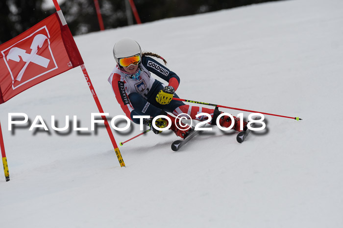 Int. FIS Rennen Damen, RS, Maria Alm 09.01.2018