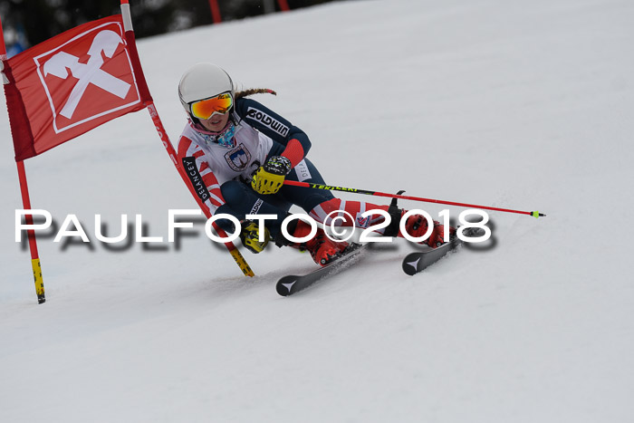 Int. FIS Rennen Damen, RS, Maria Alm 09.01.2018