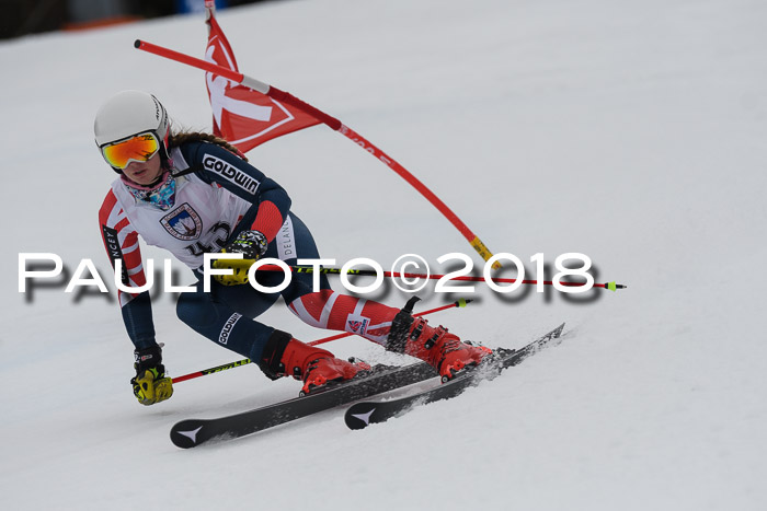 Int. FIS Rennen Damen, RS, Maria Alm 09.01.2018
