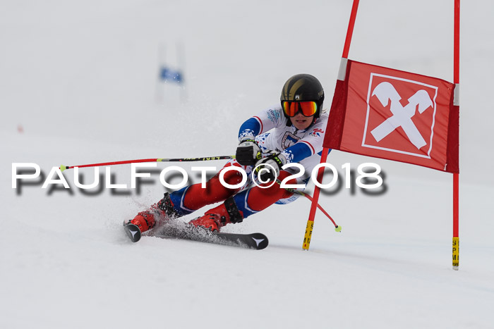 Int. FIS Rennen Damen, RS, Maria Alm 09.01.2018
