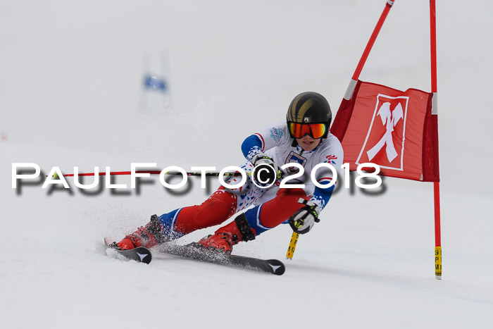 Int. FIS Rennen Damen, RS, Maria Alm 09.01.2018