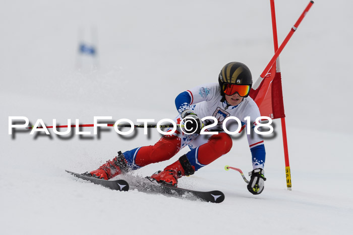 Int. FIS Rennen Damen, RS, Maria Alm 09.01.2018