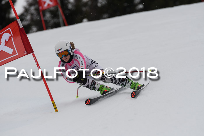 Int. FIS Rennen Damen, RS, Maria Alm 09.01.2018