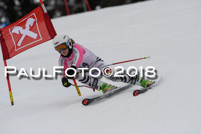 Int. FIS Rennen Damen, RS, Maria Alm 09.01.2018