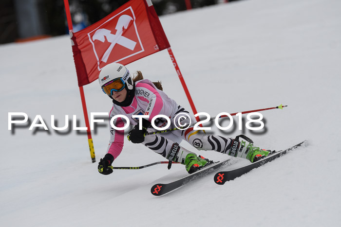 Int. FIS Rennen Damen, RS, Maria Alm 09.01.2018