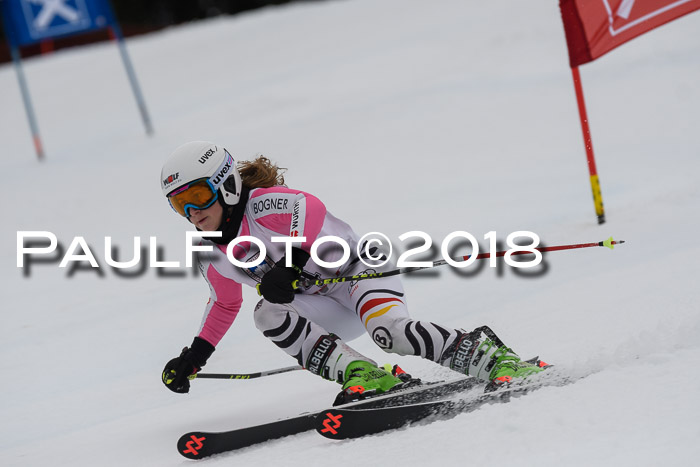 Int. FIS Rennen Damen, RS, Maria Alm 09.01.2018