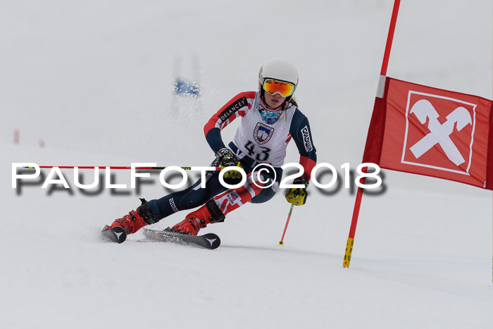 Int. FIS Rennen Damen, RS, Maria Alm 09.01.2018