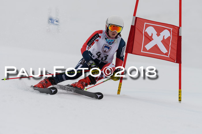 Int. FIS Rennen Damen, RS, Maria Alm 09.01.2018