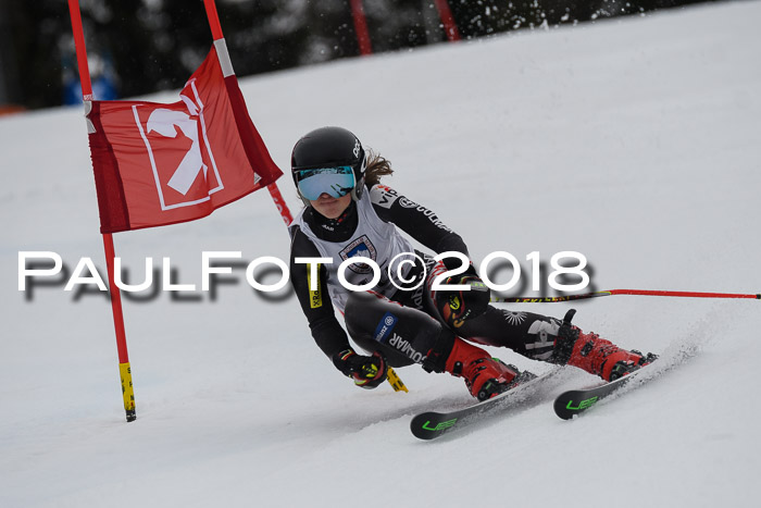 Int. FIS Rennen Damen, RS, Maria Alm 09.01.2018
