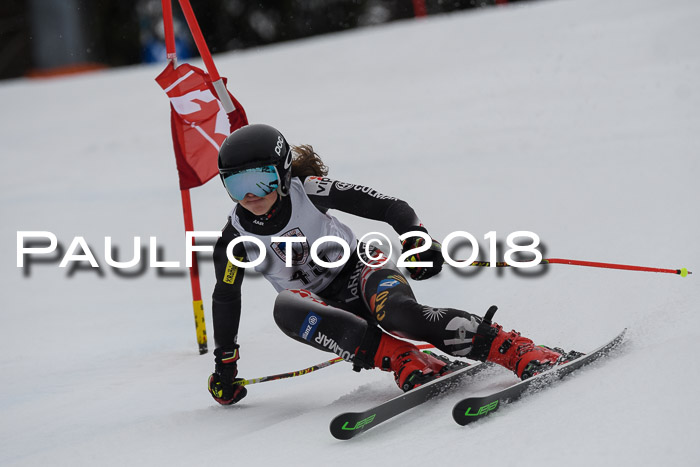 Int. FIS Rennen Damen, RS, Maria Alm 09.01.2018