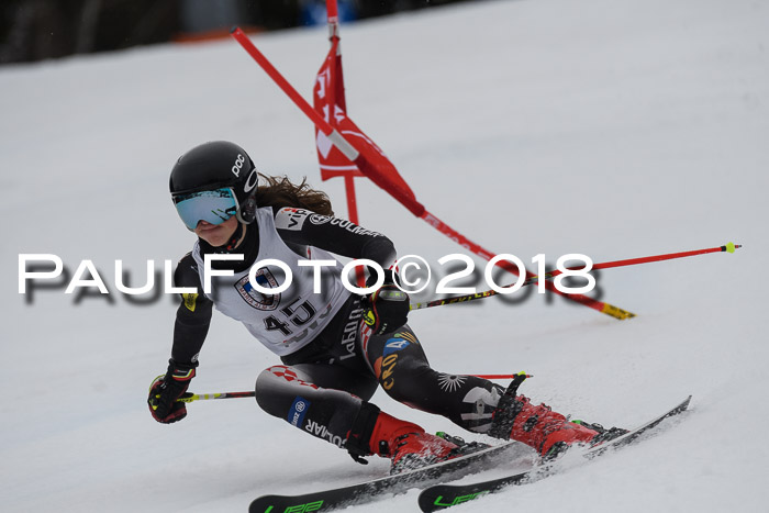 Int. FIS Rennen Damen, RS, Maria Alm 09.01.2018