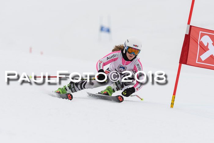 Int. FIS Rennen Damen, RS, Maria Alm 09.01.2018