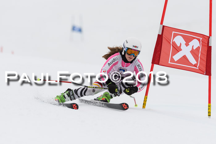 Int. FIS Rennen Damen, RS, Maria Alm 09.01.2018