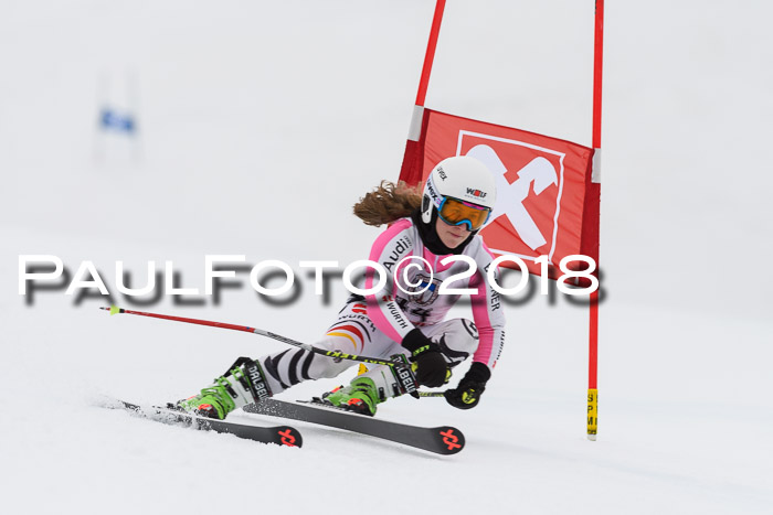 Int. FIS Rennen Damen, RS, Maria Alm 09.01.2018