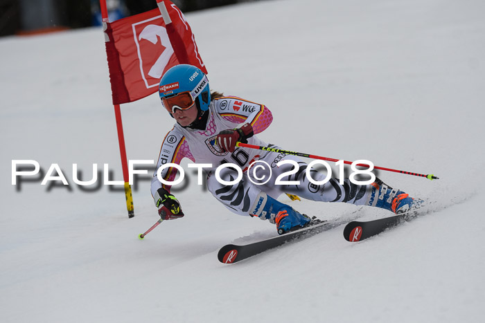 Int. FIS Rennen Damen, RS, Maria Alm 09.01.2018