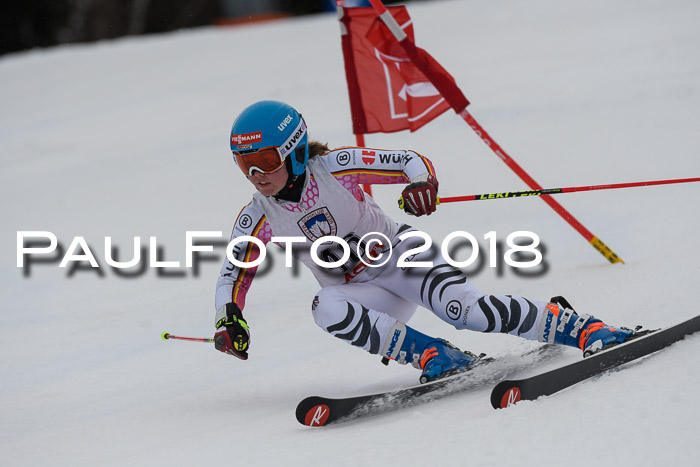 Int. FIS Rennen Damen, RS, Maria Alm 09.01.2018