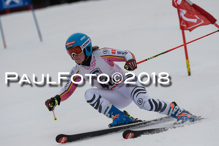 Int. FIS Rennen Damen, RS, Maria Alm 09.01.2018