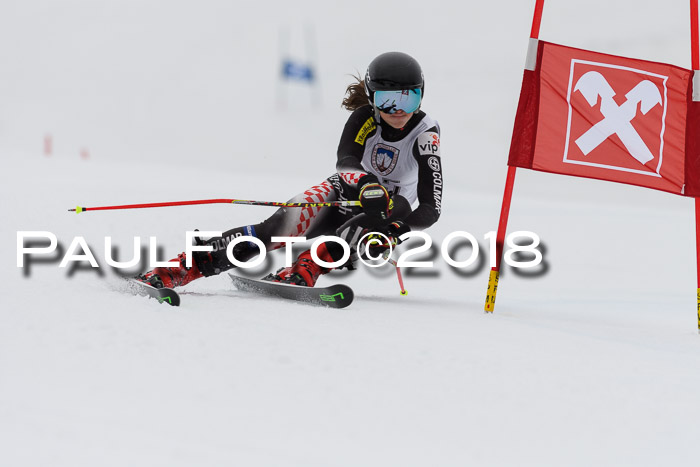 Int. FIS Rennen Damen, RS, Maria Alm 09.01.2018
