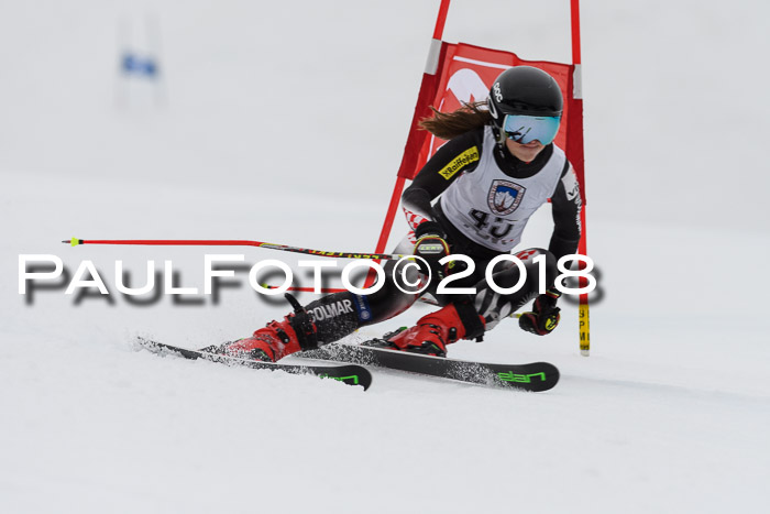 Int. FIS Rennen Damen, RS, Maria Alm 09.01.2018