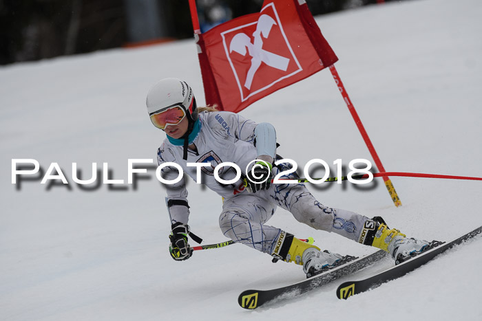 Int. FIS Rennen Damen, RS, Maria Alm 09.01.2018