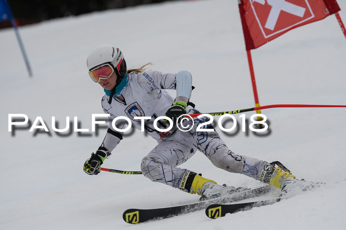 Int. FIS Rennen Damen, RS, Maria Alm 09.01.2018