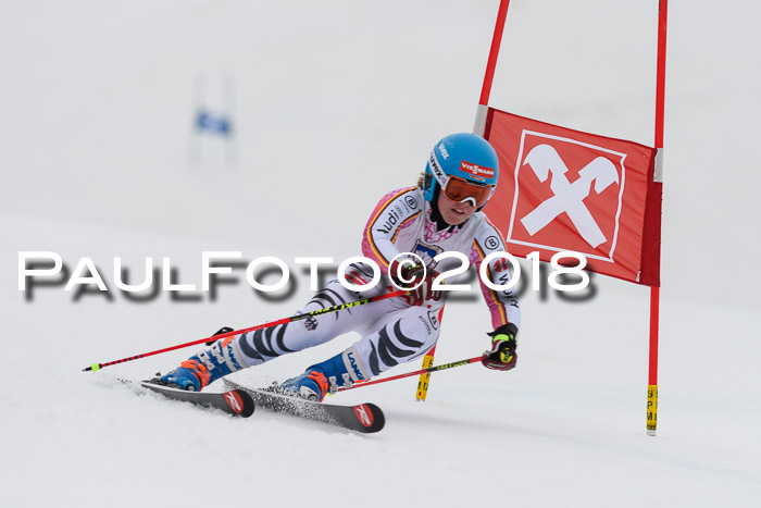 Int. FIS Rennen Damen, RS, Maria Alm 09.01.2018