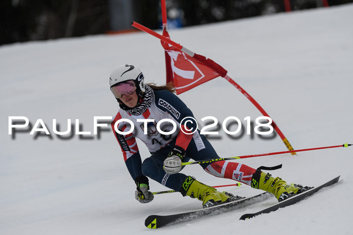 Int. FIS Rennen Damen, RS, Maria Alm 09.01.2018