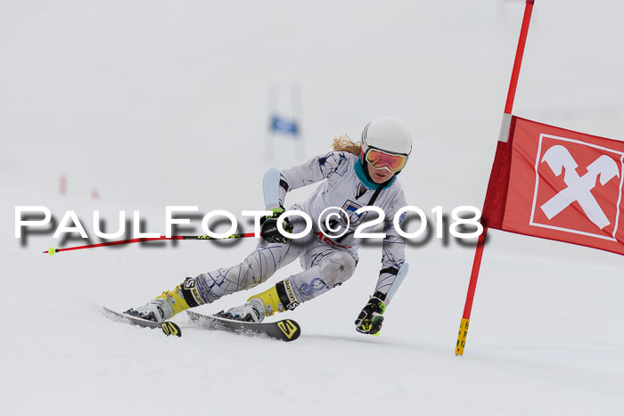 Int. FIS Rennen Damen, RS, Maria Alm 09.01.2018