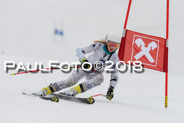 Int. FIS Rennen Damen, RS, Maria Alm 09.01.2018