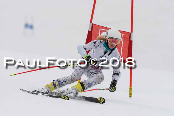 Int. FIS Rennen Damen, RS, Maria Alm 09.01.2018