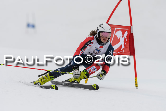 Int. FIS Rennen Damen, RS, Maria Alm 09.01.2018