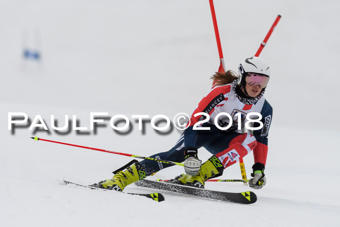 Int. FIS Rennen Damen, RS, Maria Alm 09.01.2018