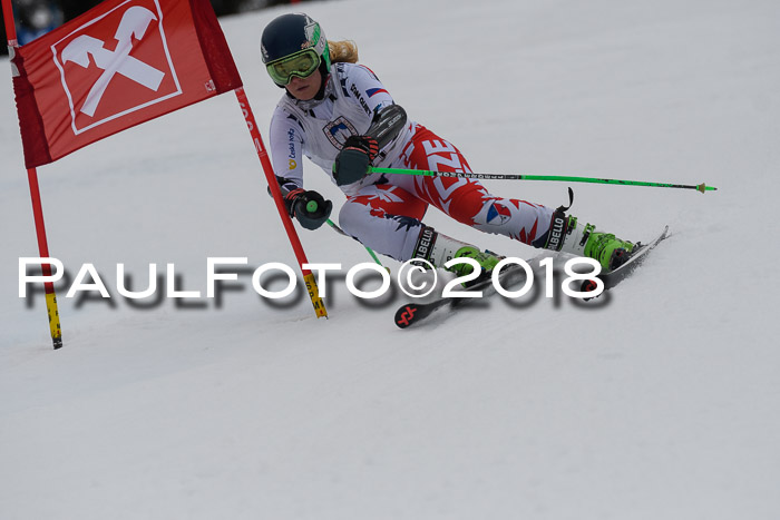 Int. FIS Rennen Damen, RS, Maria Alm 09.01.2018