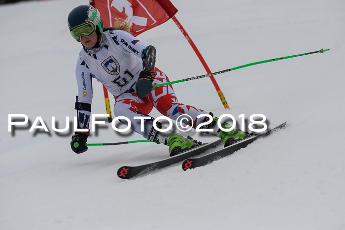 Int. FIS Rennen Damen, RS, Maria Alm 09.01.2018