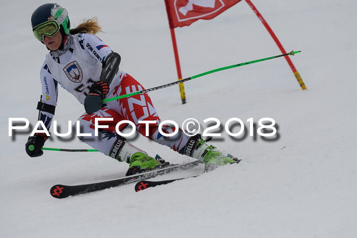 Int. FIS Rennen Damen, RS, Maria Alm 09.01.2018