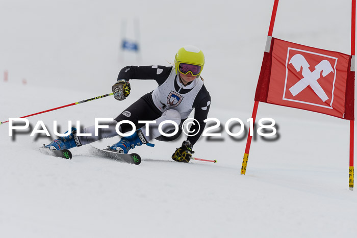 Int. FIS Rennen Damen, RS, Maria Alm 09.01.2018
