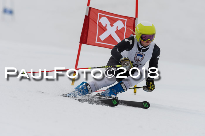 Int. FIS Rennen Damen, RS, Maria Alm 09.01.2018