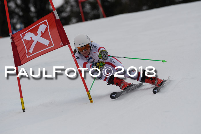 Int. FIS Rennen Damen, RS, Maria Alm 09.01.2018