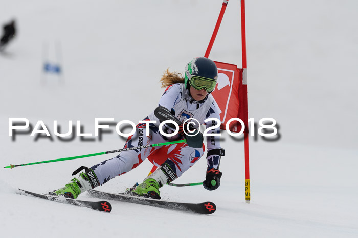 Int. FIS Rennen Damen, RS, Maria Alm 09.01.2018