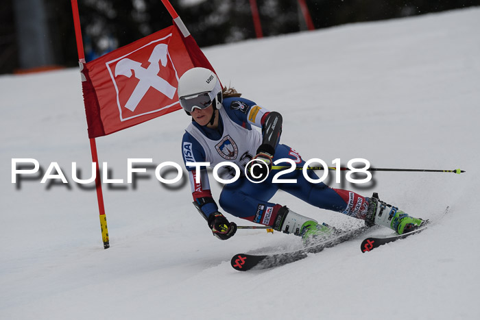 Int. FIS Rennen Damen, RS, Maria Alm 09.01.2018