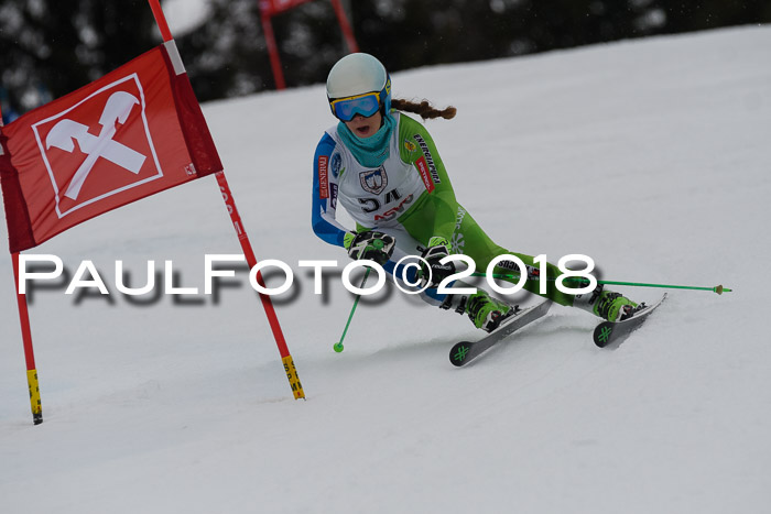 Int. FIS Rennen Damen, RS, Maria Alm 09.01.2018