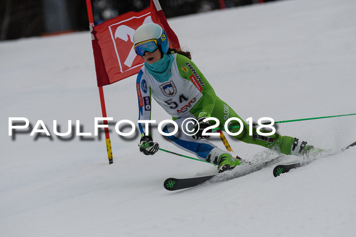 Int. FIS Rennen Damen, RS, Maria Alm 09.01.2018